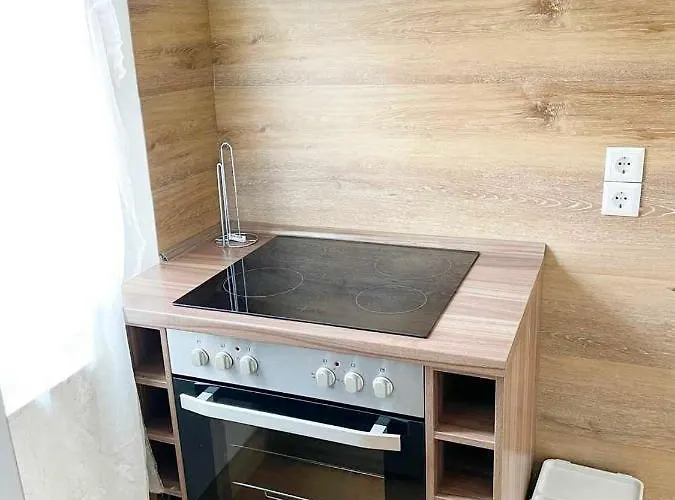 Fully Equipped Spacious Worker Apolda